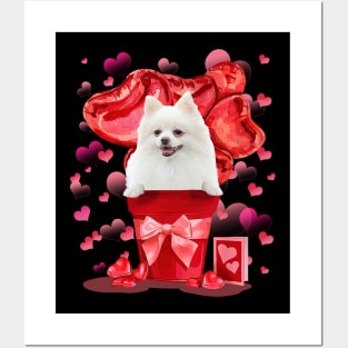 White Pomeranian In Red Pot Happy Valentine's Day Posters and Art